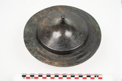Foto von Bronzephalere (NHMW-PRAE-025107)